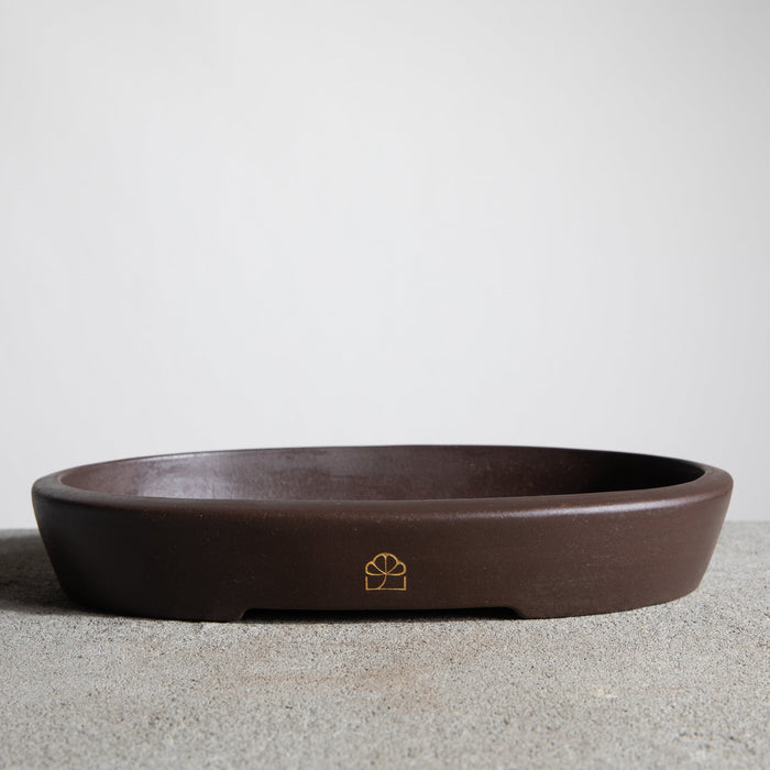 Oval &middot; M