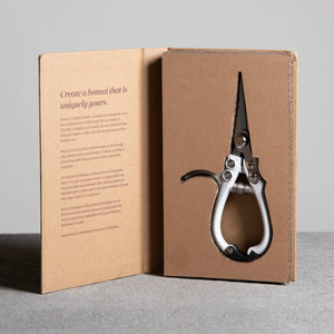 Bonsai shears in a cardboard box with text on a gray background
