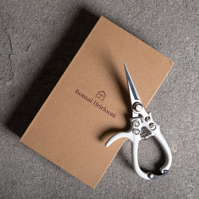 Bonsai Clippers