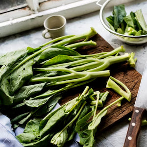 Chinese Broccoli Seeds