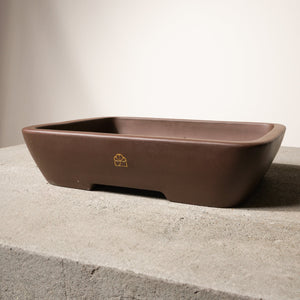 12" wide Xiying clay bonsai pot on a concrete surface with a neutral background.