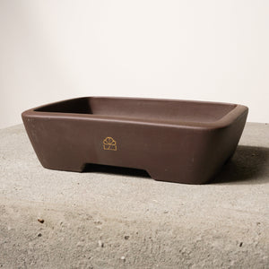 10" wide Xiying clay bonsai pot on a concrete surface with a neutral background.